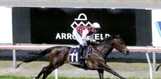 Group One winner La Crique. Photo: Trish Dunell