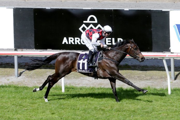 Group One winner La Crique. Photo: Trish Dunell