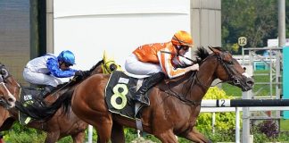 Pacific Beauty hands jockey Jaden Lloyd his first Singapore win in Race 8.