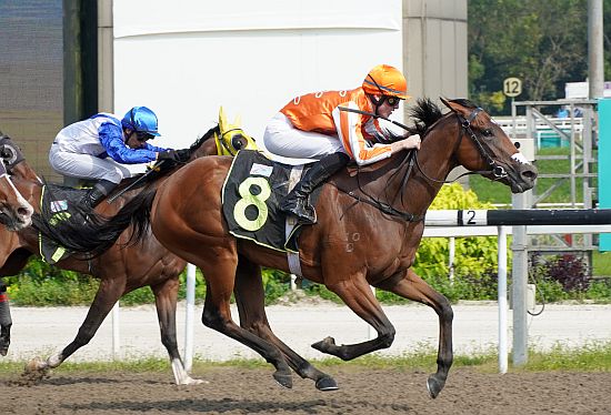 Pacific Beauty hands jockey Jaden Lloyd his first Singapore win in Race 8.