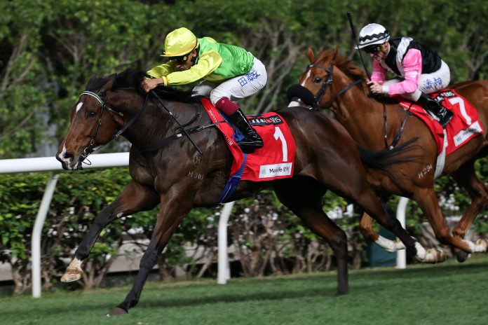 Tomodachi Kokoroe has earnt over HK$6 million in stakes.