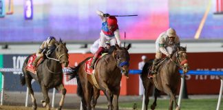 Bob Baffert has won four Dubai World Cups so far.