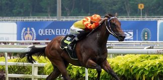 Kungfu Hero will continue his career in Hong Kong.