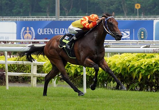 Kungfu Hero will continue his career in Hong Kong.