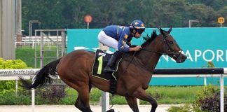 Lim's Kosciuszko (Marc Lerner) triumphant in the Kranji Stakes A race first-up.