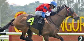 Trumpy seen winning his first Malaysia start for the Buffalo Stable.