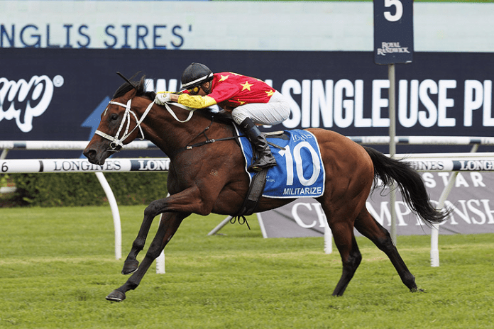 Militarize is the well fancied runner to claim Saturday's G1 feature at Randwick.