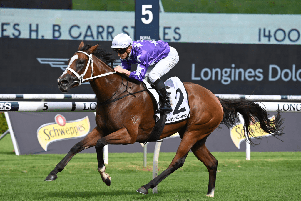 Espiona is well in under weight for age conditions in the Canterbury Stakes.