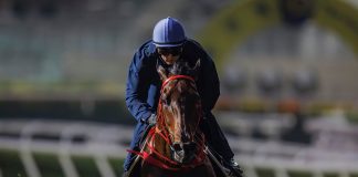 Massive Sovereign stretches out under Zac Purton at Sha Tin.