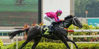 Ace Of Diamonds seen winning his maiden under Bernardo Pinheiro.