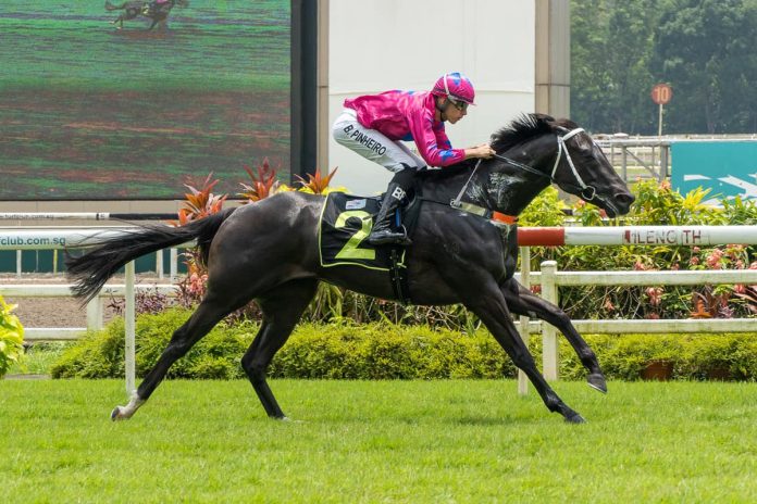 Ace Of Diamonds seen winning his maiden under Bernardo Pinheiro.