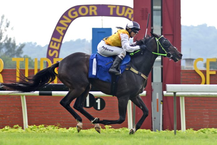 Champion Singapore apprentice Jerlyn Seow storms to victory aboard Awesome Storm.