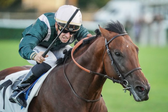 Grand Prix de Paris winner Feed The Flame back in action in Sunday's Prix d'Harcourt