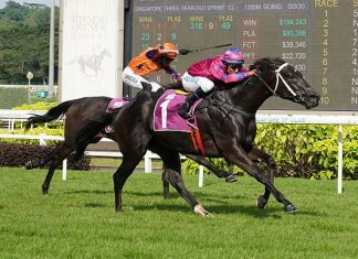 Ace Of Diamonds (Bruno Queiroz) is seeking two-in-a-row in the Group 2 Singapore Three-Year-Old Classic on Saturday.