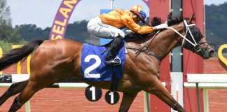 Antipodean is a horse on the rise.