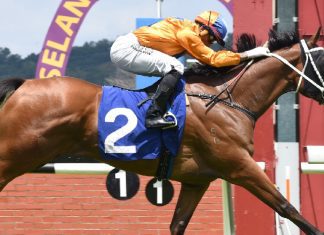 Antipodean is a horse on the rise.