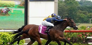 Lim's Kosciuszko (Marc Lerner, on the outside) seen here holding off stablemate Lim's Saltoro (Bruno Queiroz) in the Group 2 EW Barker Trophy on 21 April.