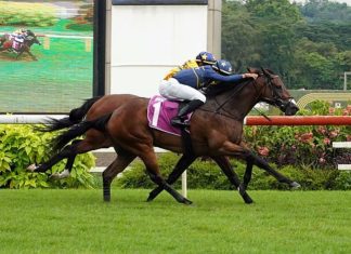 Lim's Kosciuszko (Marc Lerner, on the outside) seen here holding off stablemate Lim's Saltoro (Bruno Queiroz) in the Group 2 EW Barker Trophy on 21 April.