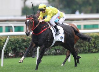 Lucky Sweynesse has nine 1200m wins at Sha Tin.