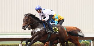 Golden Sixty stretches out at Sha Tin.