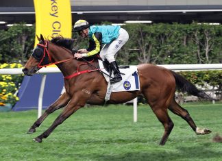 Raging Blizzard powers away at Happy Valley.