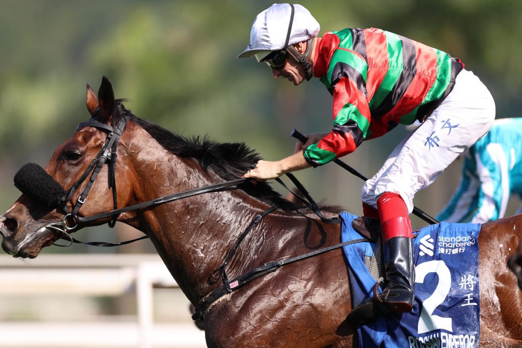 Russian Emperor is a dual Hong Kong Champion Stayer.