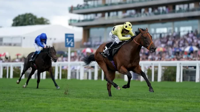 Rosallion winning at Ascot on King George day (Adam Davy/PA)