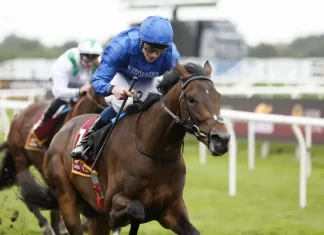 Ancient Wisdom ridden by jockey William Buick on their way to winning the Kameko Futurity Trophy Stakes at Doncaster Racecourse. Picture date: Saturday October 28, 2023.