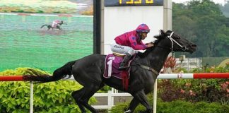 Ace Of Diamonds (Bruno Queiroz) shoots clear to win the Group 2 Singapore Guineas on Saturday.