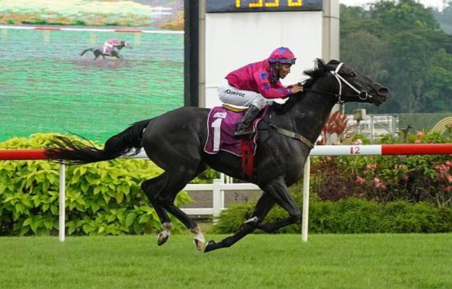 Ace Of Diamonds (Bruno Queiroz) shoots clear to win the Group 2 Singapore Guineas on Saturday.