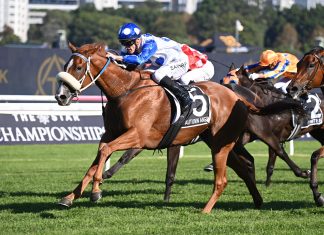 Autumn Angel is aiming to be the first of her sex to win the race in 14 years.