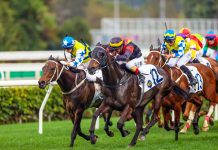 Sha Tin Racing Action