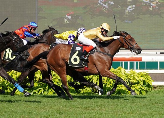 Istataba seen here at her last win in a Class 3 race on 6 August.