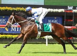 Kovalica primed for Saturday's G1 clash at Doomben.