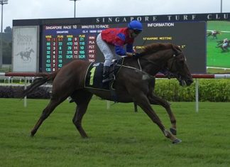 Lightning Strike seen here at his last win on 30 December.