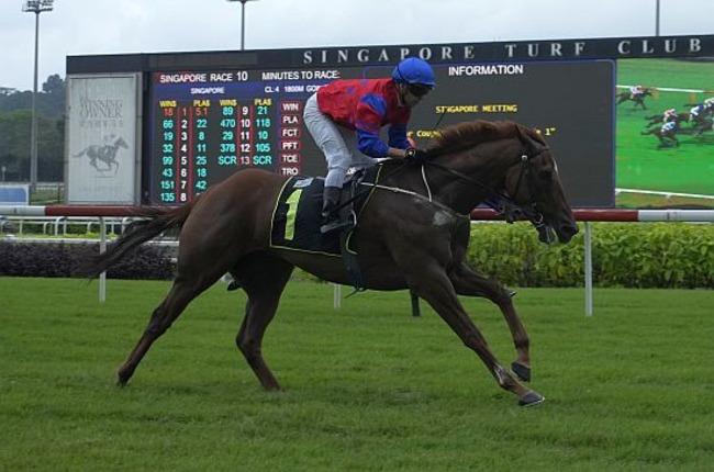 Lightning Strike seen here at his last win on 30 December.