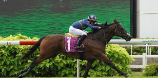 Lim's Kosciuszko (Marc Lerner) is unstoppable in the Group 1 Kranji Mile.