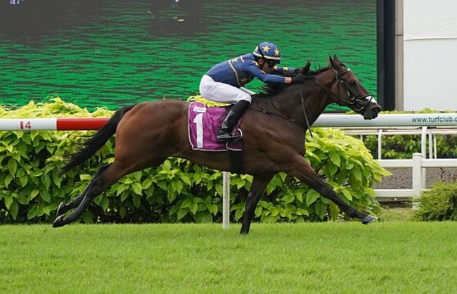 Lim's Kosciuszko (Marc Lerner) is unstoppable in the Group 1 Kranji Mile.