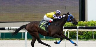 Sacred Gold hands jockey Charles Perkins his first win at Kranji on Sunday.