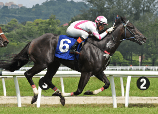 Captain Twentytwo will be attempting to go three from three in the 1020m Class 4 contest (Race 10) at Selangor.