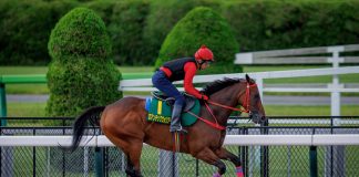 Romantic Warrior works at Tokyo Racecourse.