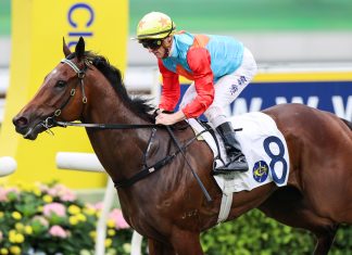 Ka Ying Rising aims to prove ground in Group 3 Sha Tin Vase