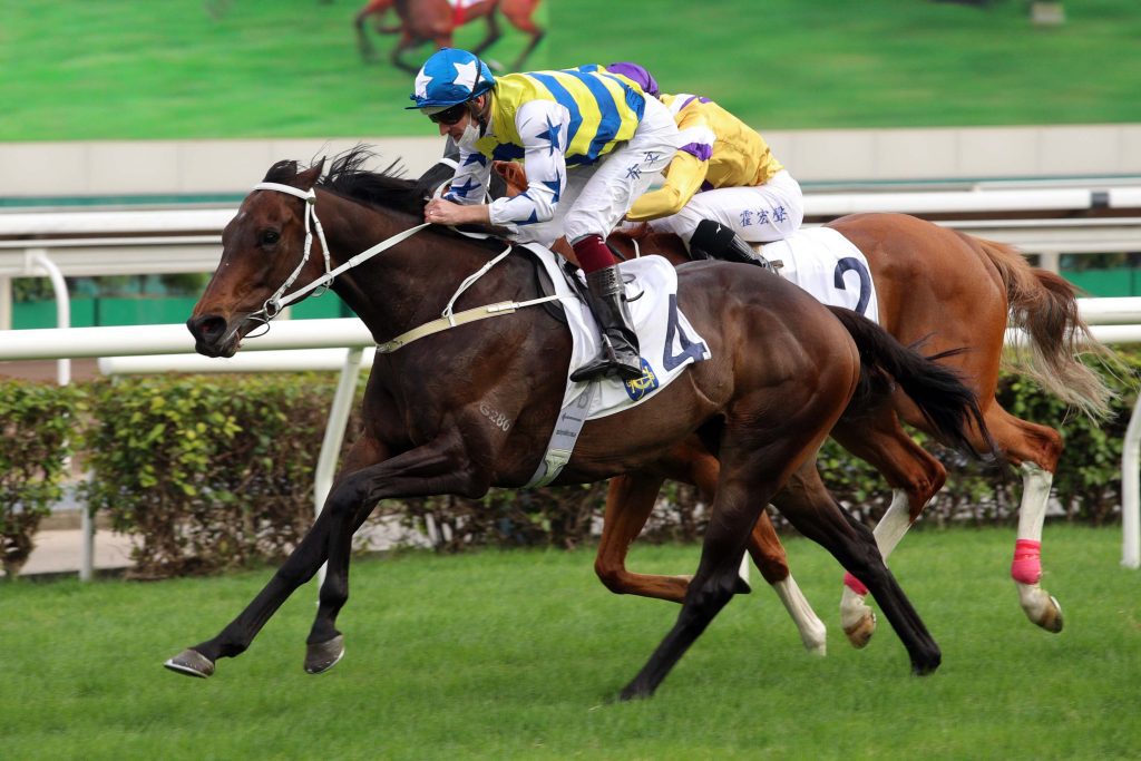 Five G Patch has won twice over 2000m at Sha Tin.