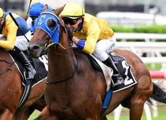 Press Link is a standout chance in the Queensland Guineas.