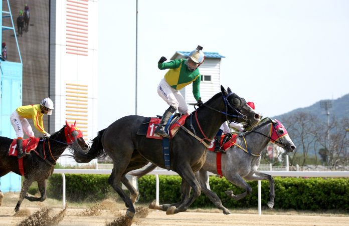 Success Baekpa won the KRA Cup Mile (Pic: KRA)