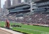 Sha Tin Racing Action.