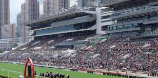 Sha Tin Racing Action.