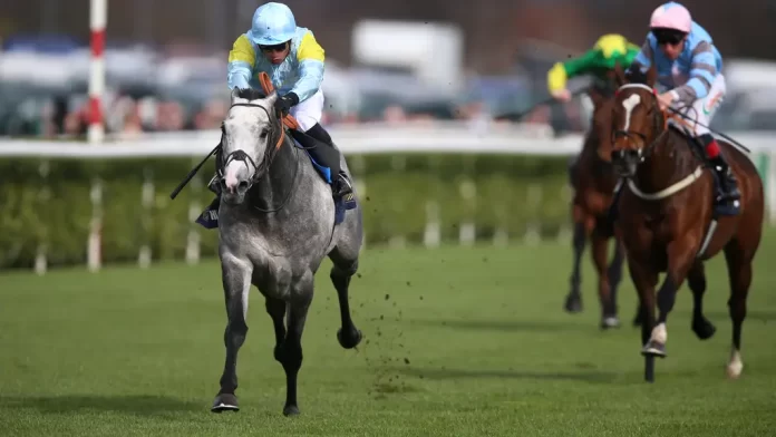 Charyn seeks a bounce-back win in in Tuesday’s (18 June) G1 Queen Anne Stakes (1600m) at Royal Ascot. Photo: PA Media