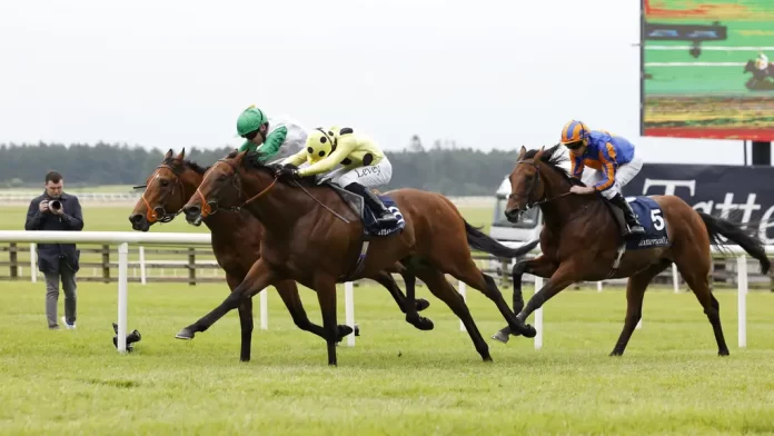 Rosallion is ready for his Royal Ascot rematch with Notable Speech (Damien Eagers/PA)