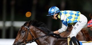 Galaxy Patch scores with Vincent Ho at Sha Tin.